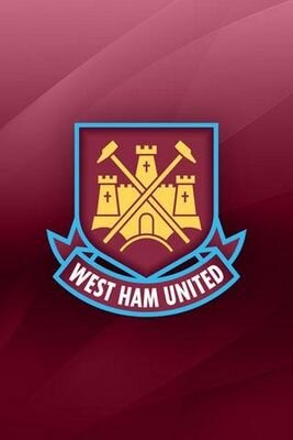 Lifetime Hammers fan COYI.