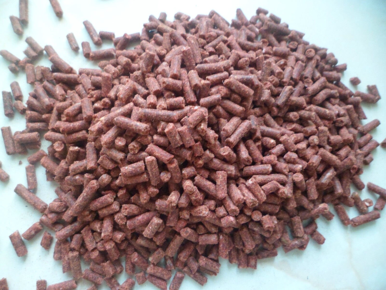 Really cheap fish food     http://t.co/gWqAzJWMWw
follow for follow