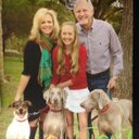 Sheila wright - @Sheilaw48218706 - Twitter