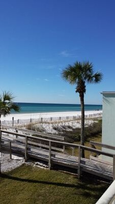 tnflowers2's profile picture. 