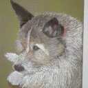 Harvey Booker - @dimarian01 - Twitter