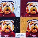 Scott Seale - @Dawgofwrath - Twitter