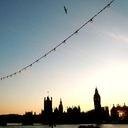 cash_mom's profile picture. HANGING ON