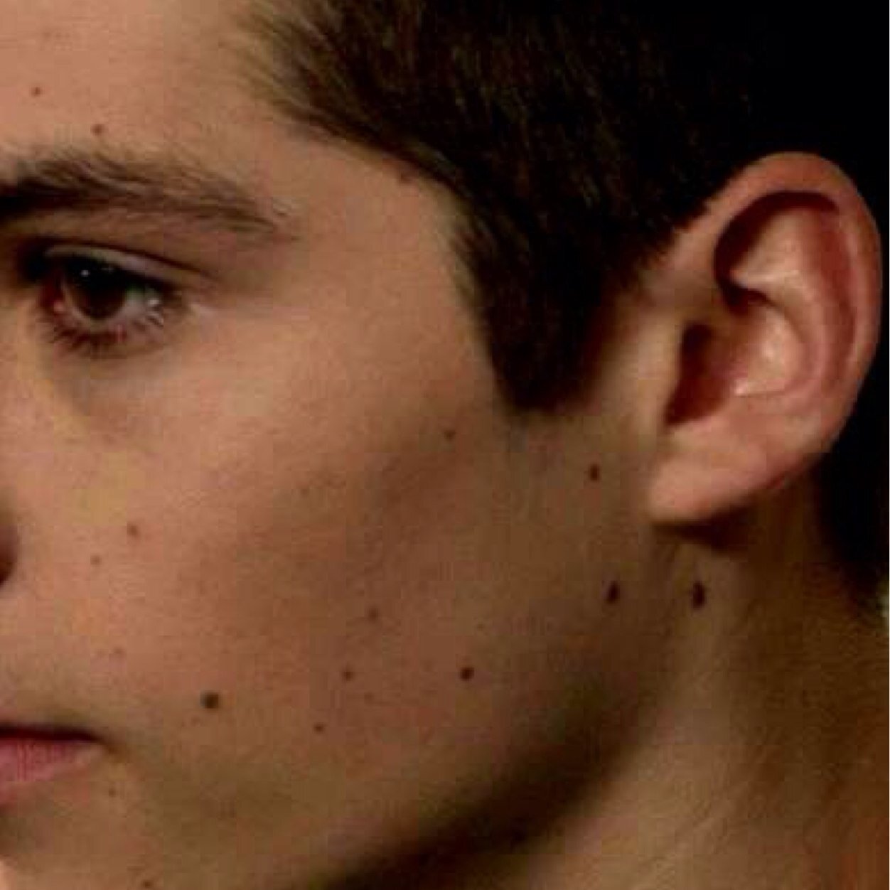 theobrienmoles's profile picture. we are the frickle freckles