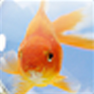 securevictory's profile picture. 