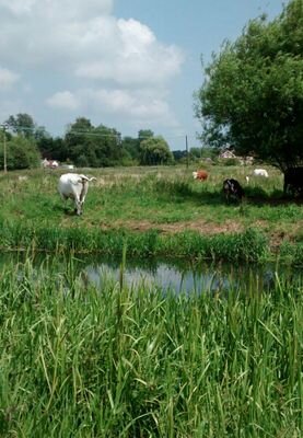 emstweets74's profile picture. 