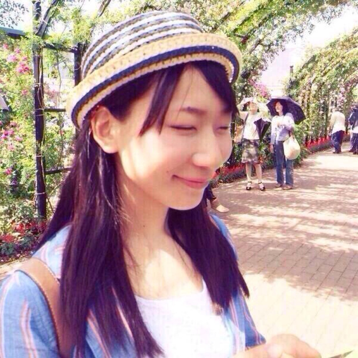 これまでで最高の竹澤 汀 可愛い すべての動物画像