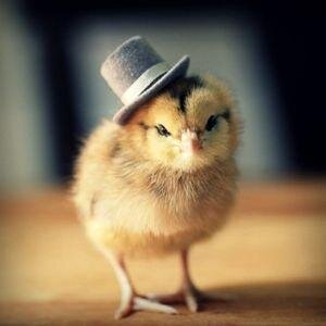人生を豊かにするとは、人間としての深みを増すことです。ビジネスで成功を手に入れるためには、お金を得ることを考えるよりも先に、自分の価値や役割を知ることが大切です。特に30代以上のサラリーマンの方に、少なからず今いるポジションに疑問や不満があるのなら、僕と一緒に自分の本当の役割を探しましょう！宜しくお願いします。
