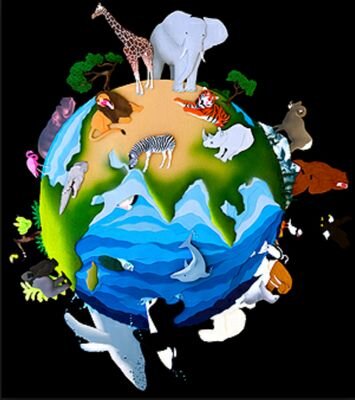 caperez868's profile picture. biologo, profesor en la Universidad de Panamá.