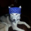 Clint Boyd - @_cmcb_ - Twitter