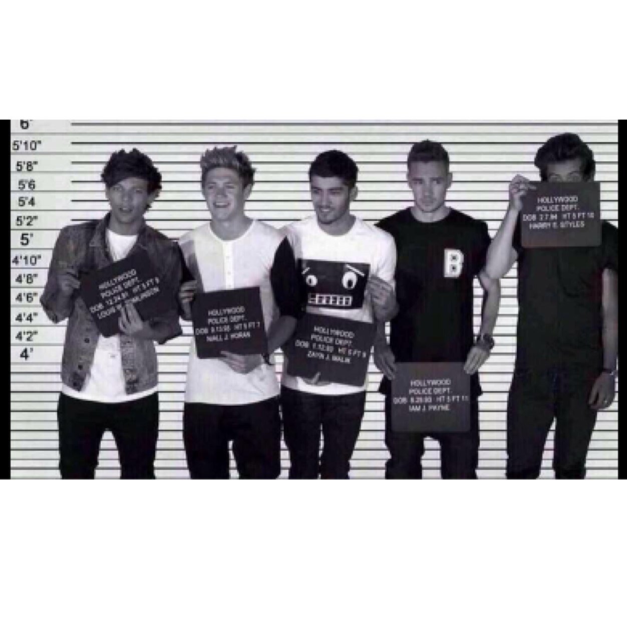 Perf1DGirls's profile picture. the boys are thankful for your dedication and they love you