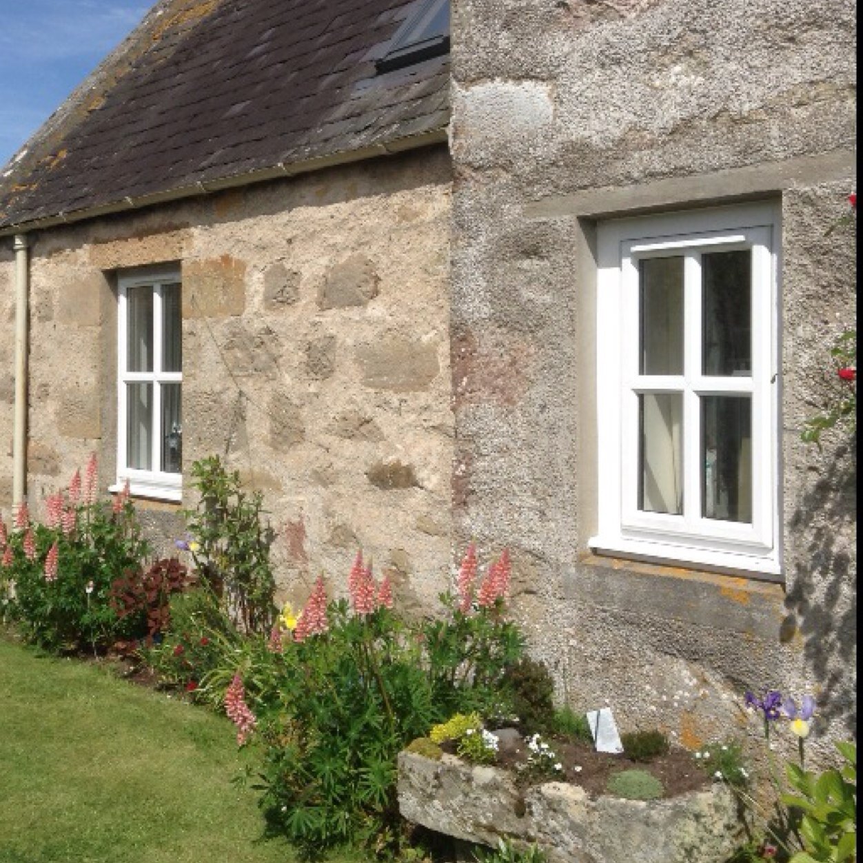 Maws Cottage (@MawsCottage) / Posts / X