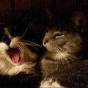 Steve Pipes - @PipesStevefp123 - Twitter