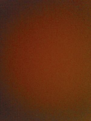 i follow back
