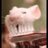Egunovpy34's profile image