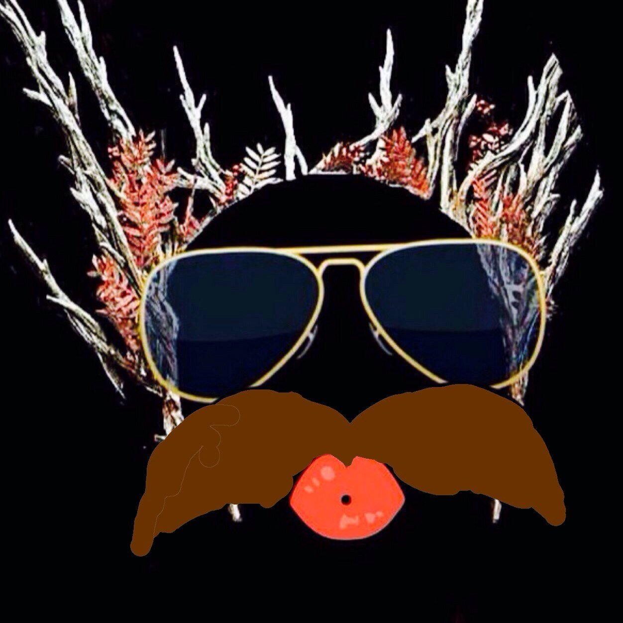 ThranCrown's profile picture. ˚✧₊⁎❝᷀ົཽ≀ˍ̮ ❝᷀ົཽ⁎⁺˳✧༚ Most #Fab crown in Middle Earth. ((Parody))