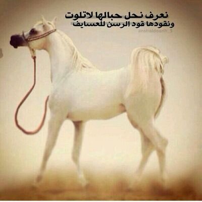 fahd2346's profile picture. لو كل ماقيل نرخي له ،مسامعنا..
ماعاد سلم حدن منا على .الثاني