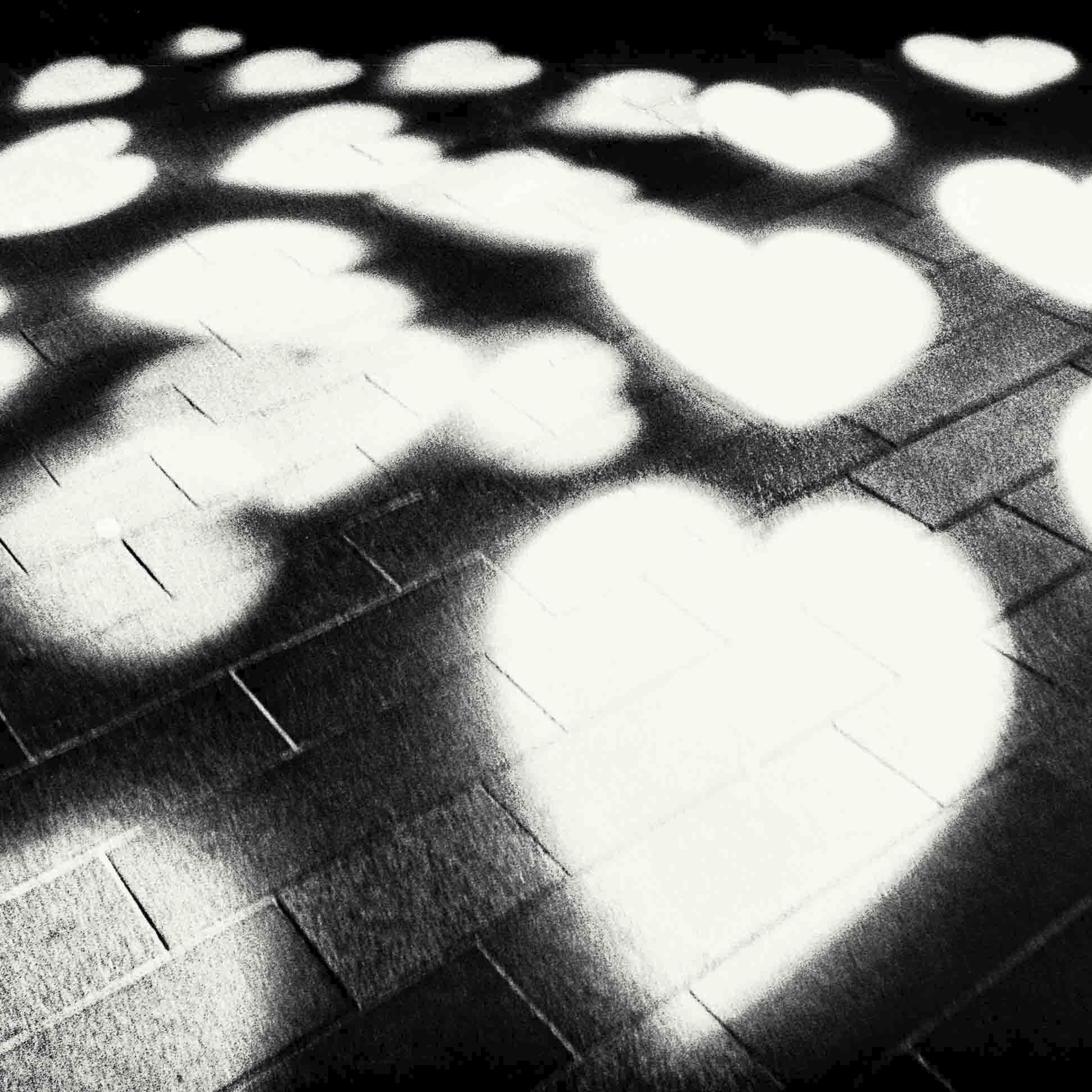 nicola_lawrence's profile picture. #believeinfilm