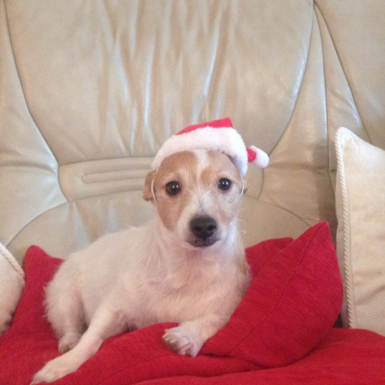 gRoll01's profile picture. Sport & Exercise Science. Leeds Met.