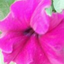 Candace Murphy - @cmurphy0718 - Twitter