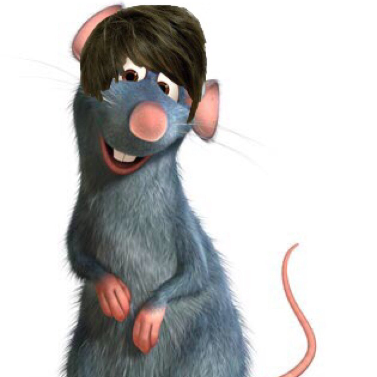 rat ross
