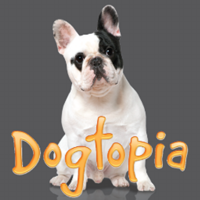 Dogtopia: A place where pets are valued as family and dogs enjoy endless playtime and spa treatments in a positive environment. Serving the Region since 2010!