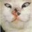 Molostov7fs1's profile image
