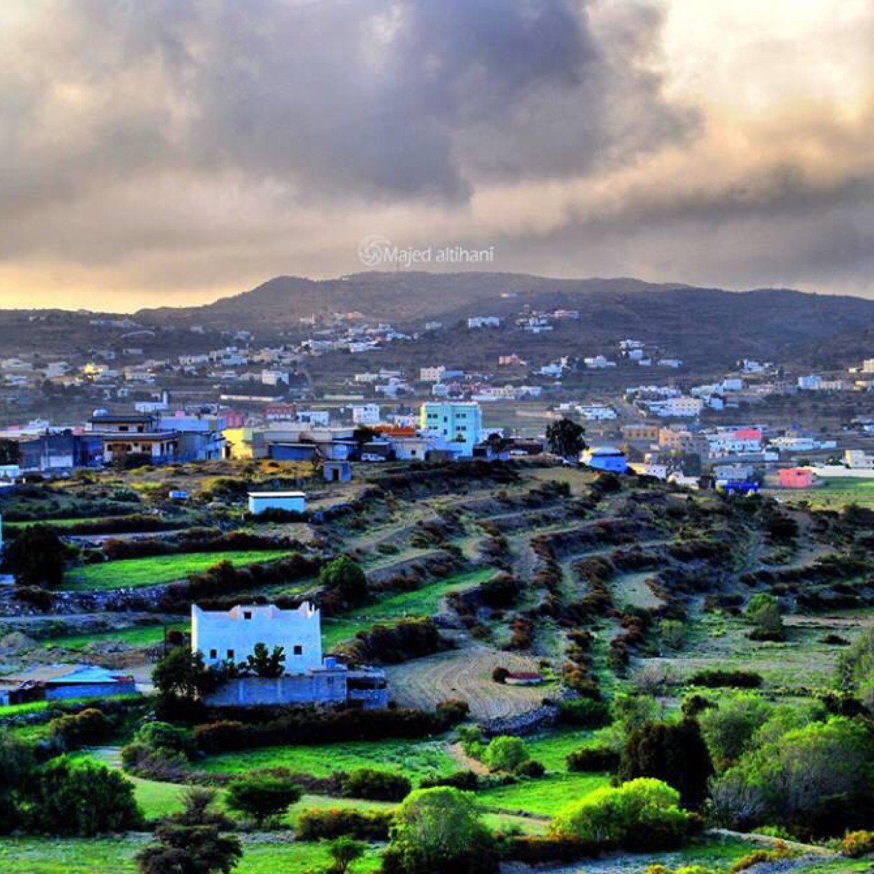 abumouade's profile picture. عابر سبيل