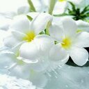 Magali Ramirez - @magigegis - Twitter