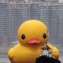 giant inflatable duck