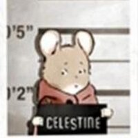 celestin cirque (@celestincirque) 's Twitter Profile
