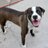 StopNYCacc's profile image