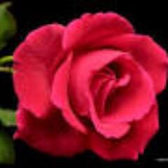 IqraEjazz's profile picture. 