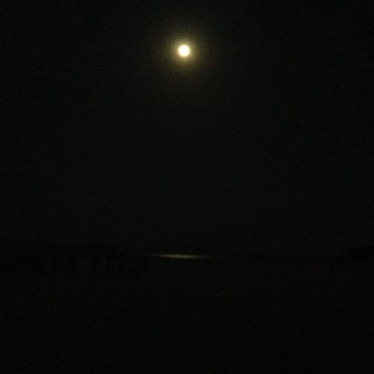 Yaşamak bir Ağaç gibi tek ve hür ve bir Orman gibi Kardeşçesine...