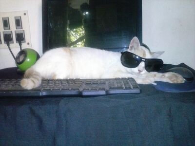 whatcha lukin at! haven't ya seen a kat in shades befoe!
