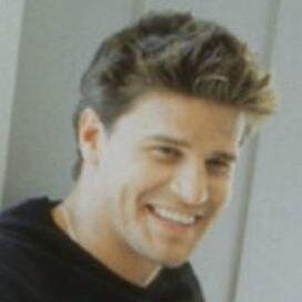Delectable @David_Boreanaz. Favorite TV shows #Angel and #Bones forever.          http://t.co/rweV14zXvy