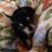 sea_cama's profile image