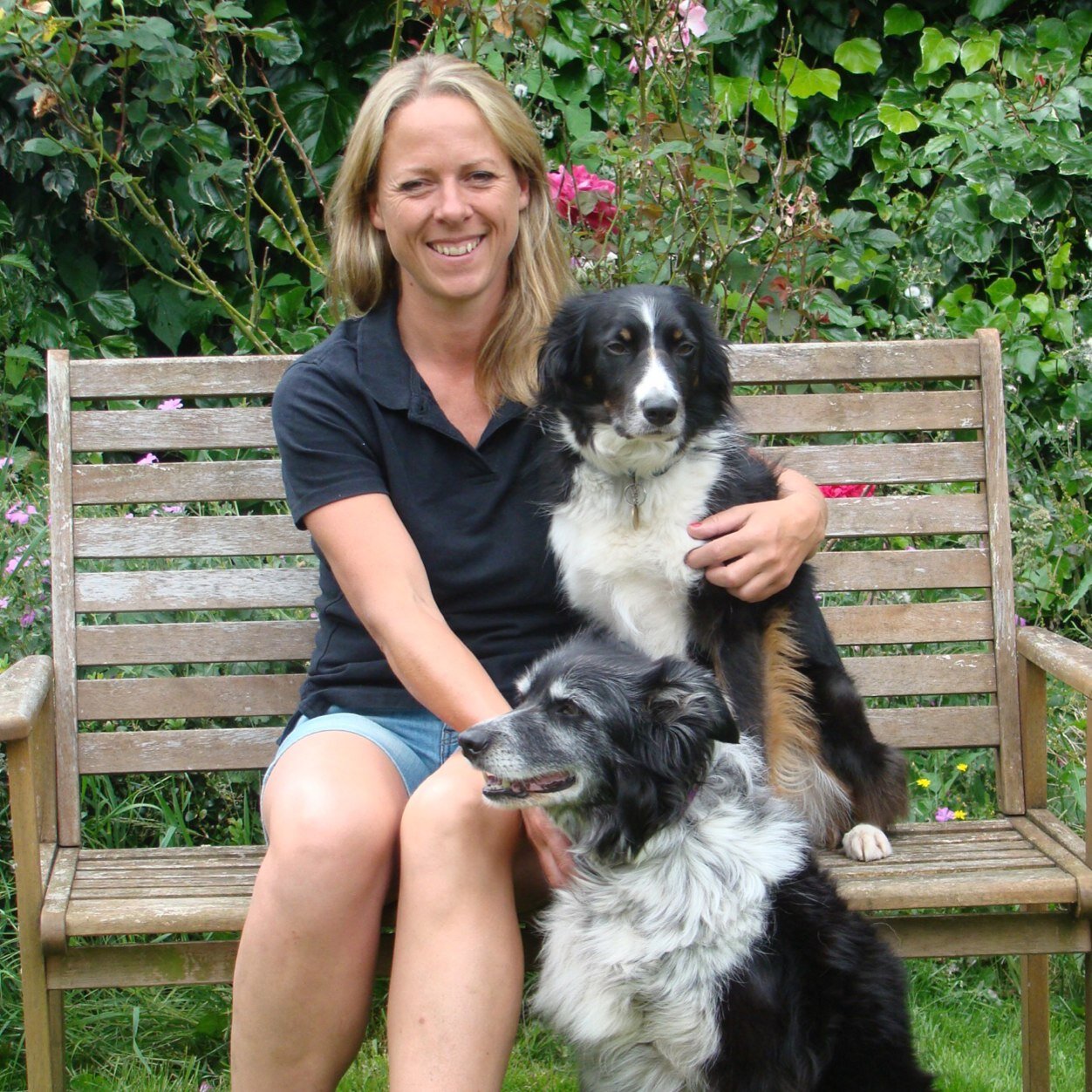 Dog training in Worcester, Worcestershire UK, puppy and adult dog training, dog agility, 1-2-1 behaviour consultations. Over 20 years expereince. APDT member
