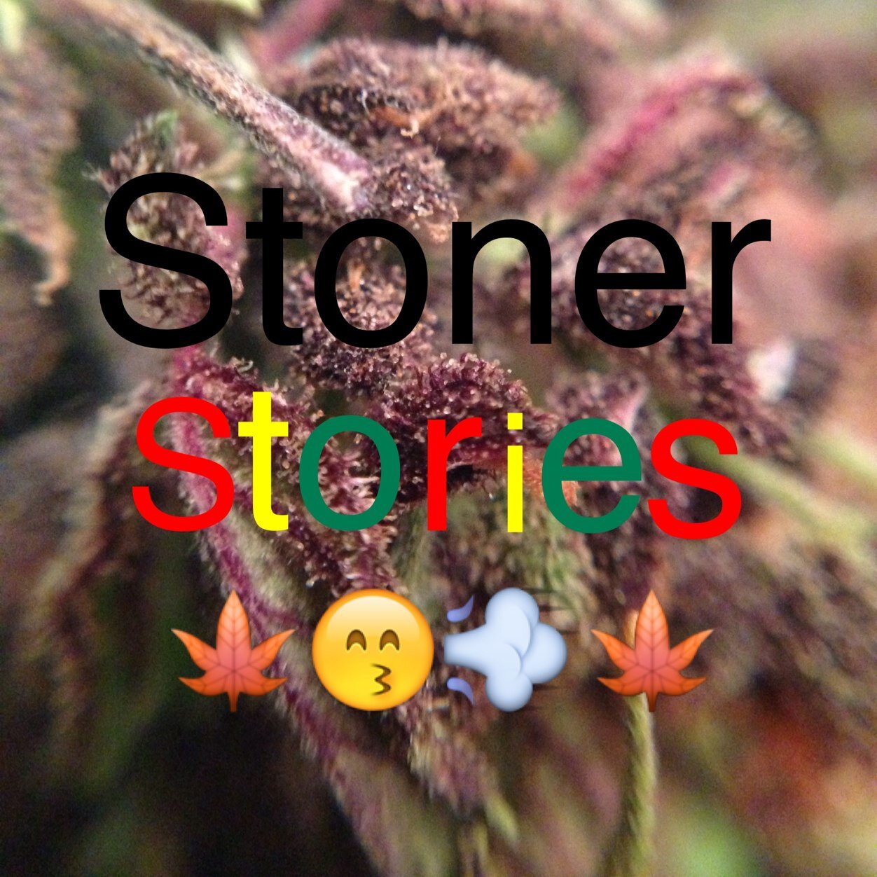 stoner stories