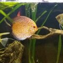 Fermín Martín Puente - @MartnFermn - Twitter