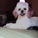 fabiana bea arguello - @bea_fabiana - Twitter