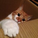 russell betts - @Rusty_betts - Twitter