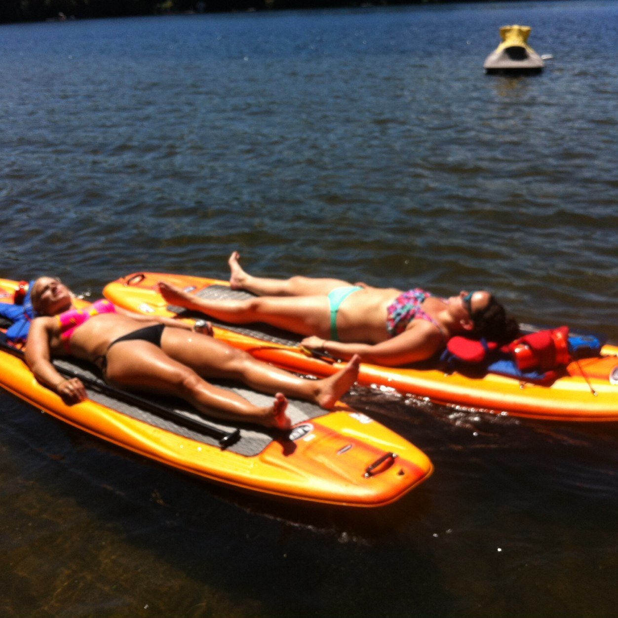 mcourtney97's profile picture. Former UConn Husky #97. Strength and conditioning coach.