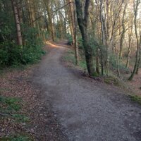 Derrycassan Wood Run (@stcolumbasrun) 's Twitter Profile Photo