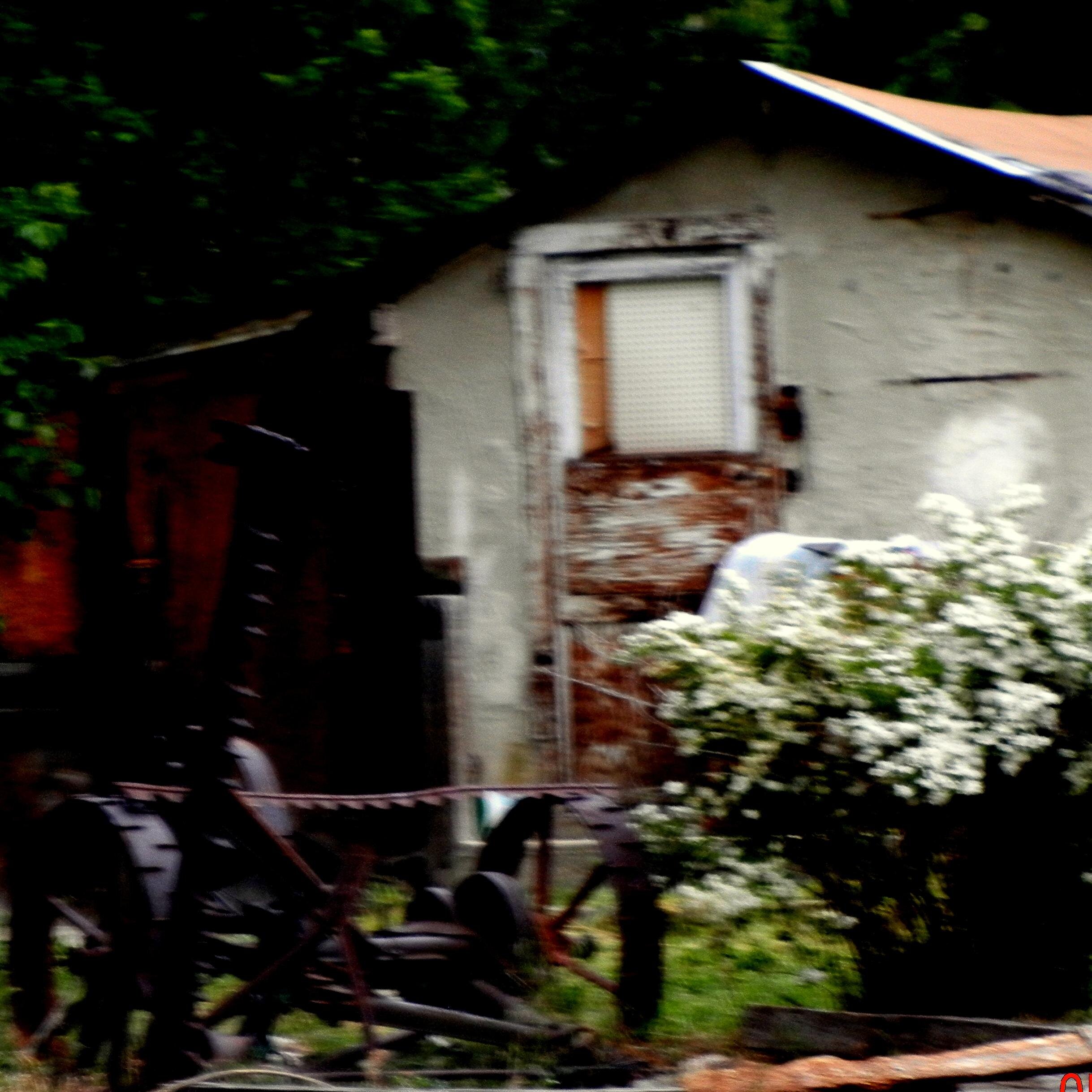 troubble4u's profile picture. 