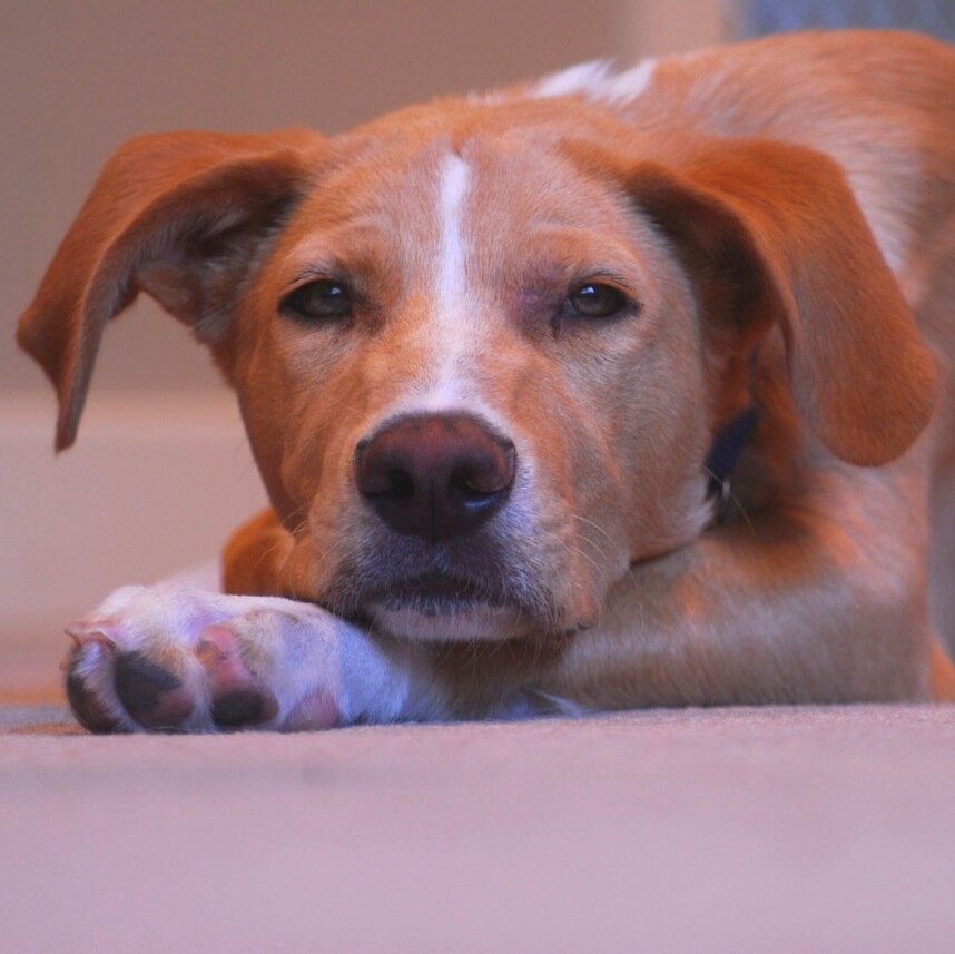 mtreger's profile picture. 