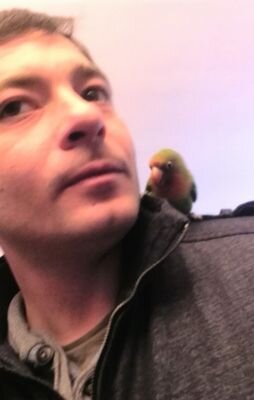 ChicotronD's profile picture. 