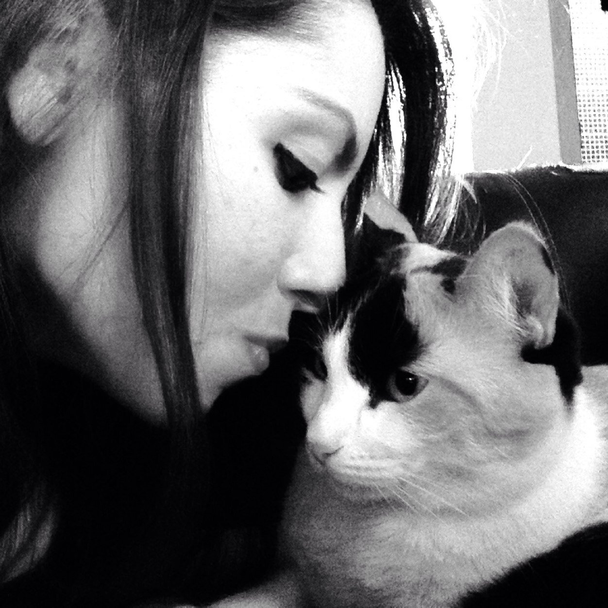 CatLover❤️