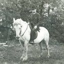 kmqfenian's profile picture. 