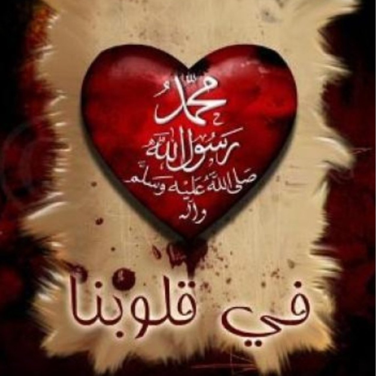 صقر الجزيره